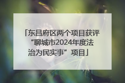 东昌府区两个项目获评“聊城市2024年度法治为民实事”项目