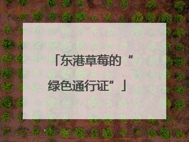 东港草莓的“绿色通行证”