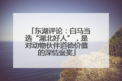 东湖评论：白马当选“湖北好人”，是对动物伙伴道德价值的深情褒奖