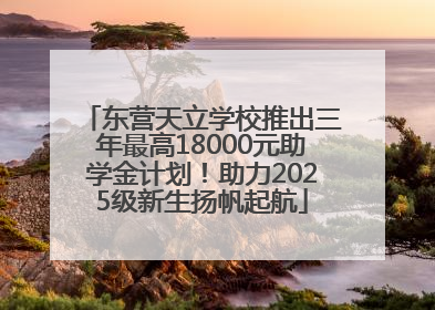 东营天立学校推出三年最高18000元助学金计划！助力2025级新生扬帆起航