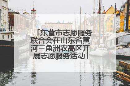 东营市志愿服务联合会在山东省黄河三角洲农高区开展志愿服务活动