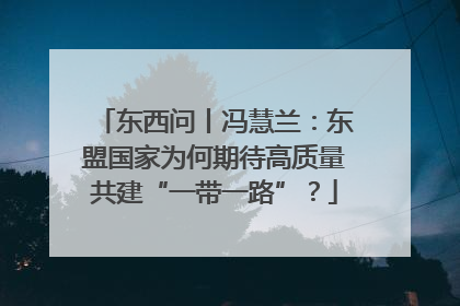 东西问丨冯慧兰：东盟国家为何期待高质量共建“一带一路”？