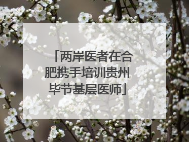 两岸医者在合肥携手培训贵州毕节基层医师