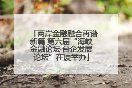 两岸金融融合再谱新篇 第六届“海峡金融论坛·台企发展论坛”在厦举办