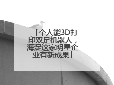 个人能3D打印双足机器人，海淀这家明星企业有新成果