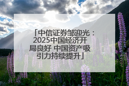 中信证券邹迎光：2025中国经济开局良好 中国资产吸引力持续提升