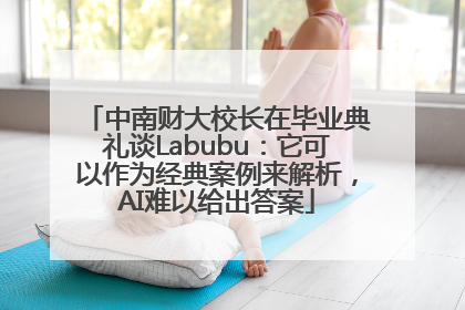 中南财大校长在毕业典礼谈Labubu：它可以作为经典案例来解析，AI难以给出答案
