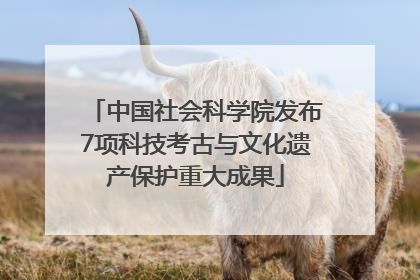 中国社会科学院发布7项科技考古与文化遗产保护重大成果