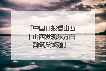 中国日报看山西｜山西发现东方白鹳筑巢繁殖