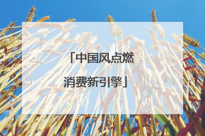 中国风点燃消费新引擎