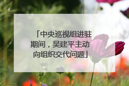 中央巡视组进驻期间，吴建平主动向组织交代问题