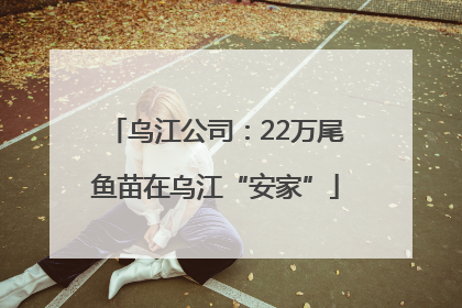 乌江公司：22万尾鱼苗在乌江“安家”