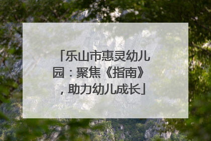 乐山市惠灵幼儿园：聚焦《指南》，助力幼儿成长