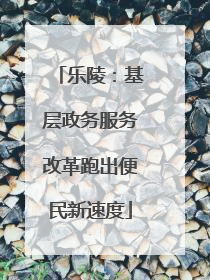 乐陵：基层政务服务改革跑出便民新速度