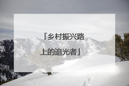 乡村振兴路上的追光者