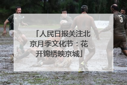 人民日报关注北京月季文化节：花开锦绣映京城
