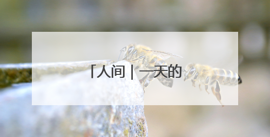 人间｜一天的经历就像一生