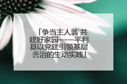 争当主人翁 共建好家园——平利县以党建引领基层善治的生动实践