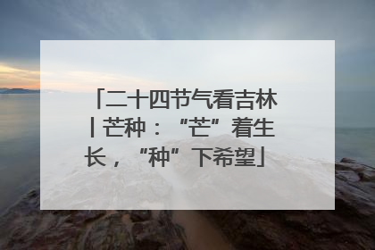 二十四节气看吉林丨芒种：“芒”着生长，“种”下希望