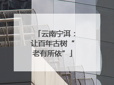 云南宁洱：让百年古树“老有所依”