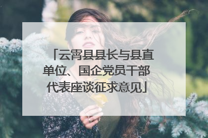 云霄县县长与县直单位、国企党员干部代表座谈征求意见
