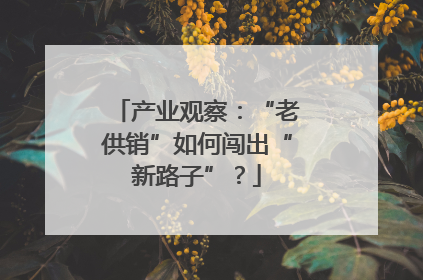 产业观察：“老供销”如何闯出“新路子”？