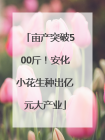 亩产突破500斤！安化小花生种出亿元大产业