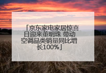 京东家电家居惊喜日迎来董明珠 带动空调品类销量同比增长100%