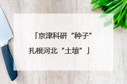 京津科研“种子”扎根河北“土壤”