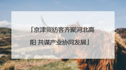 京津冀纺客齐聚河北高阳 共谋产业协同发展