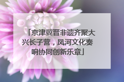 京津冀晋非遗齐聚大兴长子营，凤河文化奏响协同创新乐章