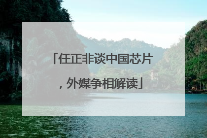 任正非谈中国芯片，外媒争相解读