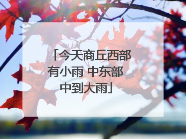 今天商丘西部有小雨 中东部中到大雨