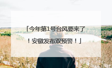 今年第1号台风要来了！安徽发布双预警！