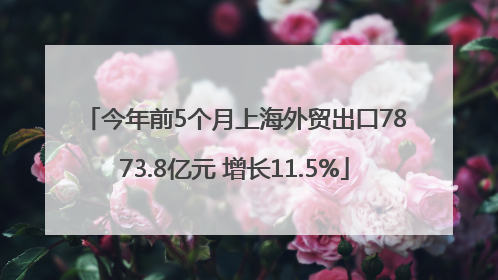 今年前5个月上海外贸出口7873.8亿元 增长11.5%