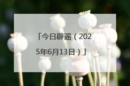 今日辟谣（2025年6月13日）