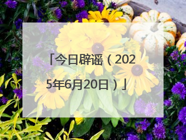 今日辟谣（2025年6月20日）