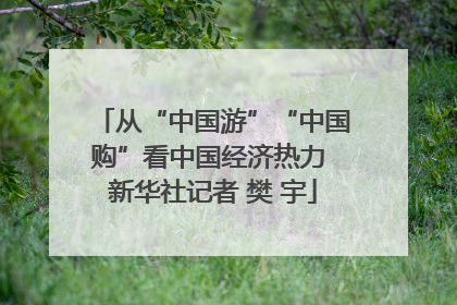 从“中国游”“中国购”看中国经济热力 新华社记者 樊 宇