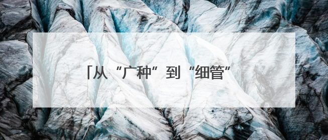 从“广种”到“细管” 关岭枇杷产业的跃升之路