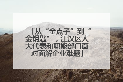 从“金点子”到“金钥匙”，江汉区人大代表和职能部门面对面解企业难题