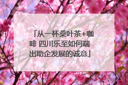 从一杯桑叶茶+咖啡 四川乐至如何端出助企发展的诚意