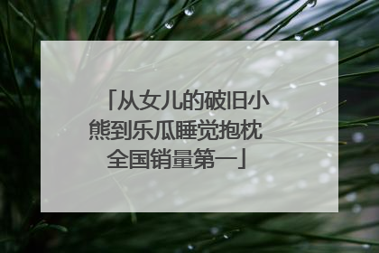 从女儿的破旧小熊到乐瓜睡觉抱枕全国销量第一