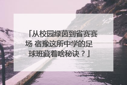 从校园绿茵到省赛赛场 宿豫这所中学的足球班藏着啥秘诀？
