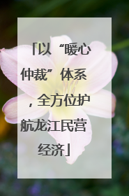 以“暖心仲裁”体系，全方位护航龙江民营经济