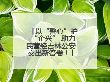 以“警心”护“企兴” 助力民营经吉林公安交出新答卷！