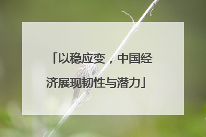 以稳应变，中国经济展现韧性与潜力