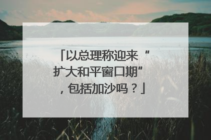 以总理称迎来“扩大和平窗口期”，包括加沙吗？