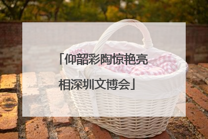 仰韶彩陶惊艳亮相深圳文博会