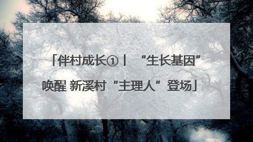 伴村成长①丨 “生长基因”唤醒 新溪村“主理人”登场