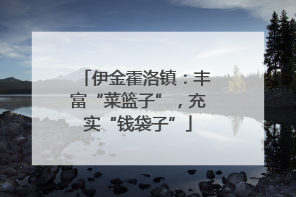 伊金霍洛镇：丰富“菜篮子”，充实“钱袋子”